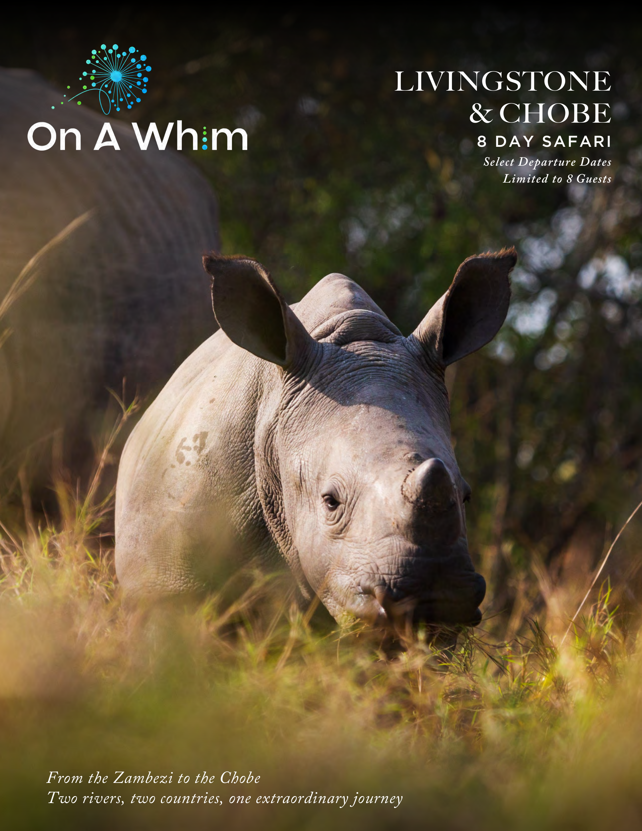 Livingstone & Chobe