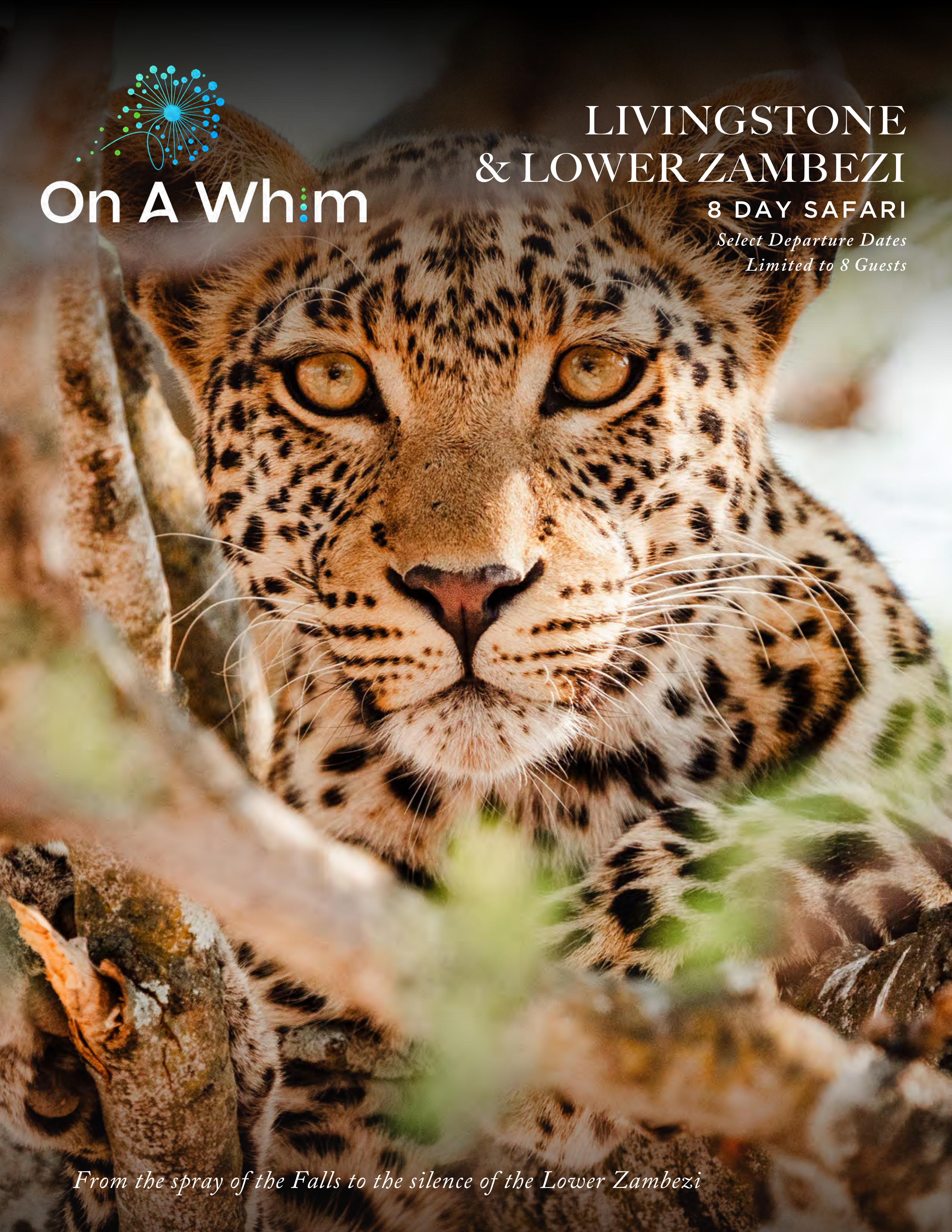 Livingstone & Lower Zambezi
