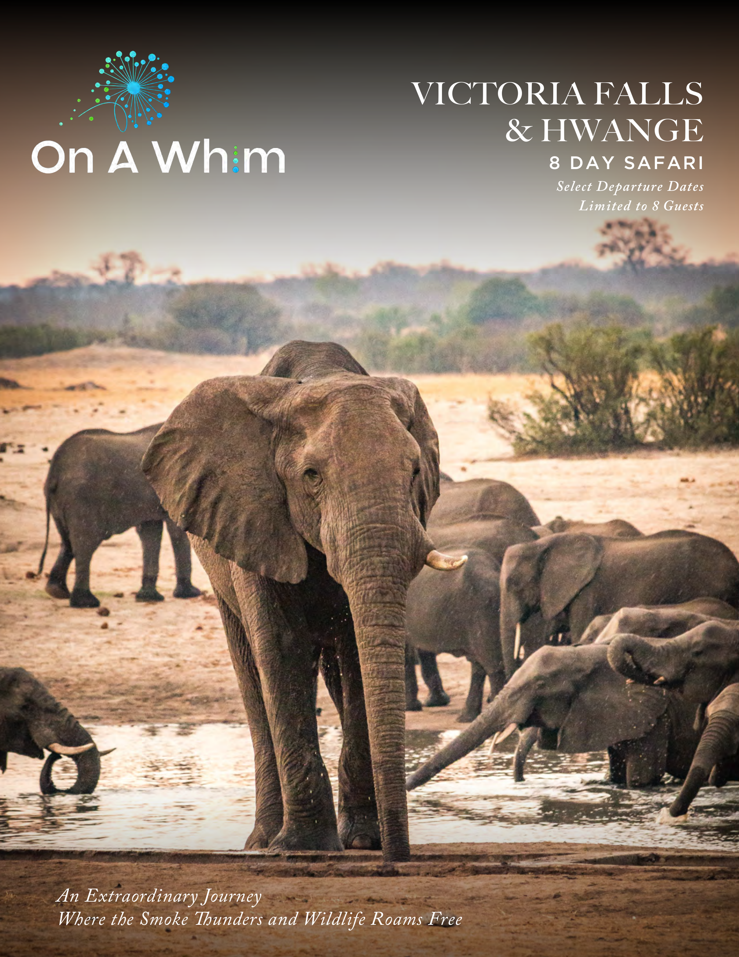 Victoria Falls & Hwange